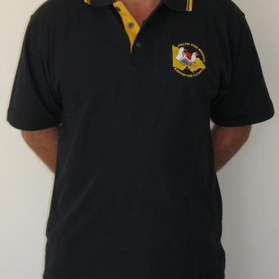 POLO SHIRT S/S NAVY/GOLD