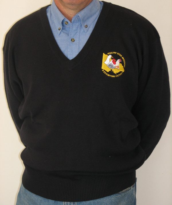V-neck Woolen Pull-Over